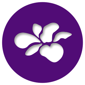 Ovesse Orchid Icon